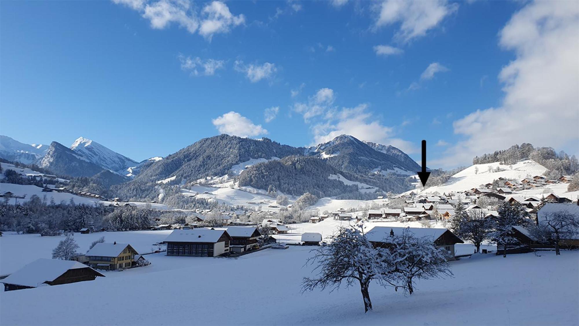 Apartment Adlerhorst - Im Niedersimmental *